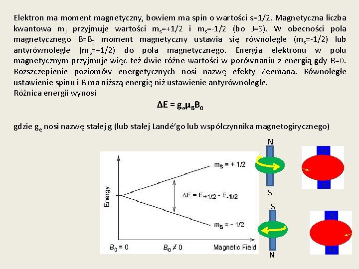 Elektron ma moment magnetyczny, bowiem ma spin o wartości s=1/2. Magnetyczna liczba kwantowa m.