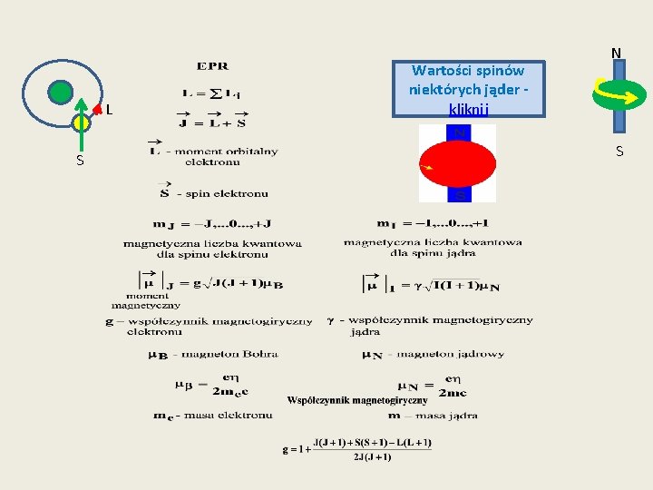 L S Wartości spinów niektórych jąder kliknij N E S 