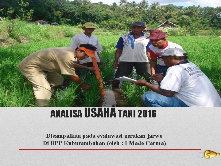 ANALISA USAHA TANI 2016 Disampaikan pada evaluwasi gerakan jarwo Di BPP Kubutambahan (oleh :