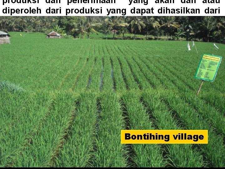 produksi dan penerimaan yang akan dan atau diperoleh dari produksi yang dapat dihasilkan dari