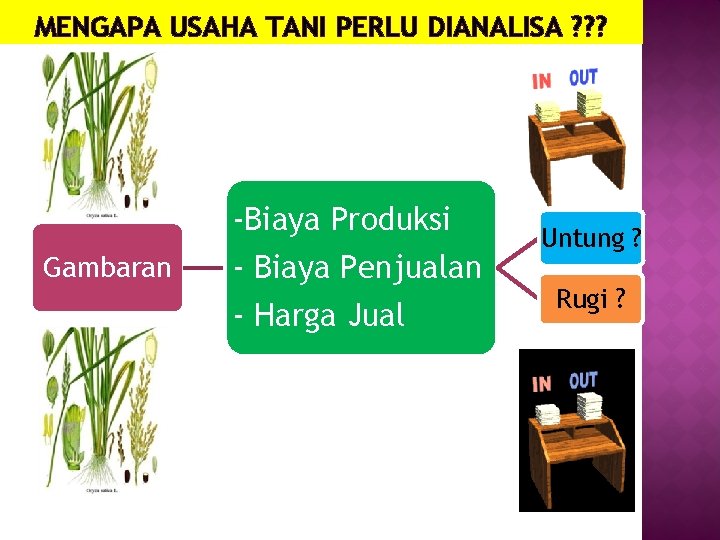 MENGAPA USAHA TANI PERLU DIANALISA ? ? ? Gambaran -Biaya Produksi - Biaya Penjualan