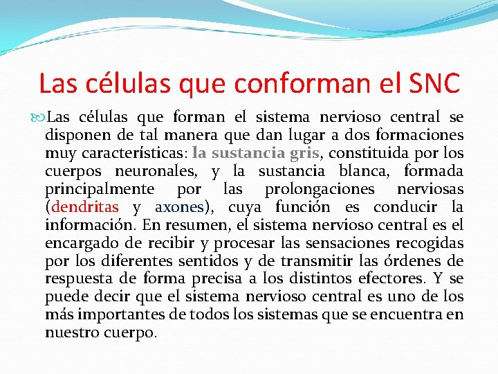 Las células que conforman el SNC Las células que forman el sistema nervioso central