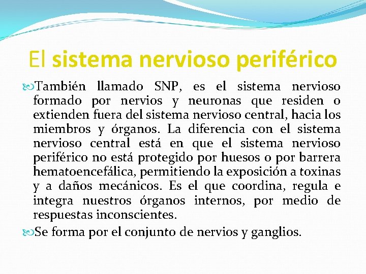 El sistema nervioso periférico También llamado SNP, es el sistema nervioso formado por nervios