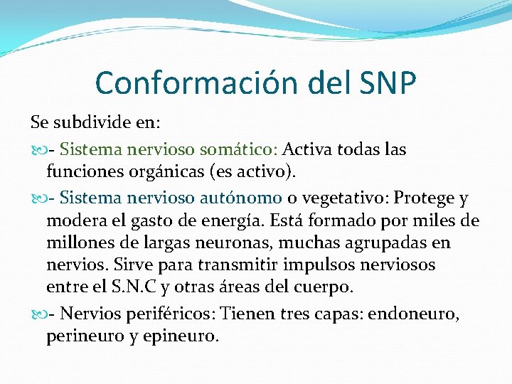 Conformación del SNP Se subdivide en: - Sistema nervioso somático: Activa todas las funciones