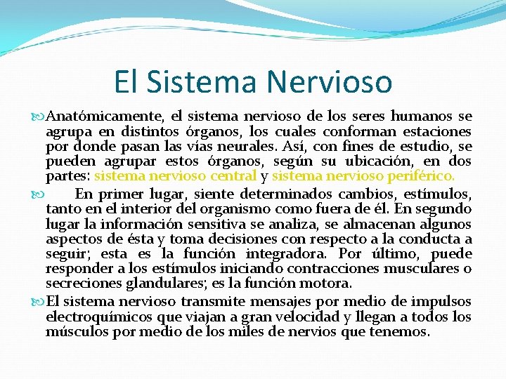 El Sistema Nervioso Anatómicamente, el sistema nervioso de los seres humanos se agrupa en