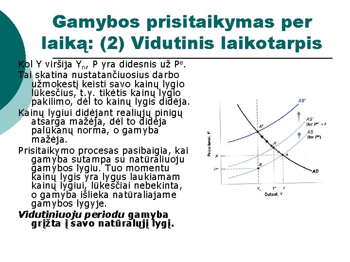 Gamybos prisitaikymas per laiką: (2) Vidutinis laikotarpis Kol Y viršija Yn, P yra didesnis