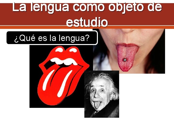 La lengua como objeto de estudio ¿Qué es la lengua? 