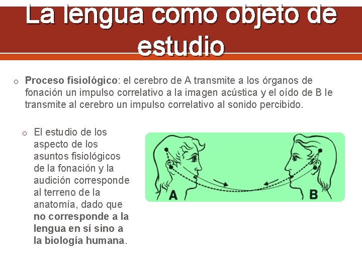 La lengua como objeto de estudio o Proceso fisiológico: el cerebro de A transmite