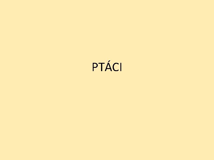 PTÁCI 