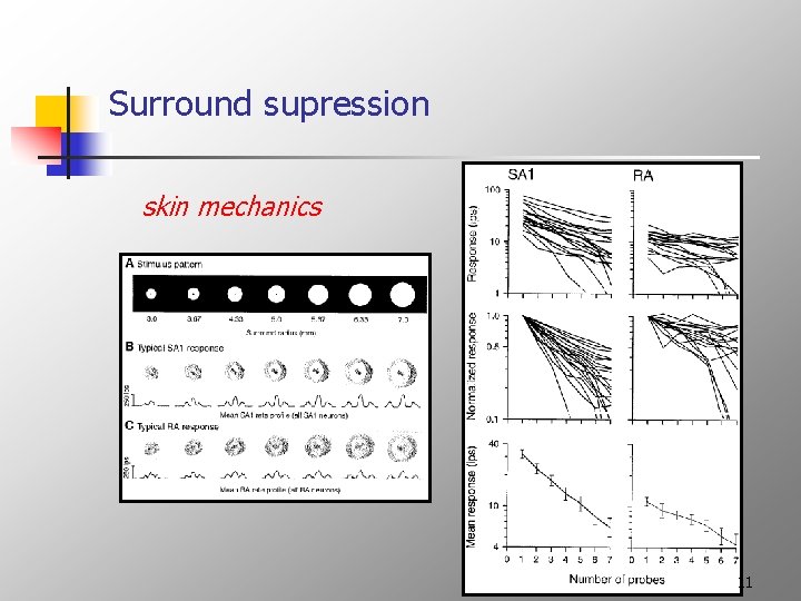 Surround supression skin mechanics 11 