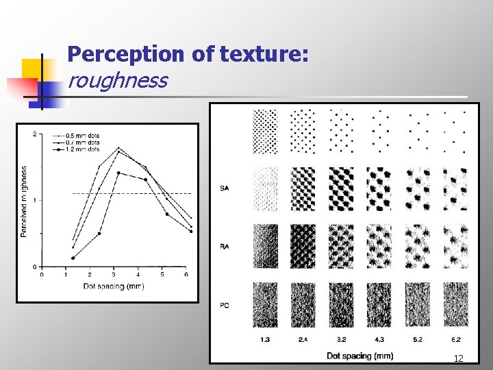 Perception of texture: roughness 12 