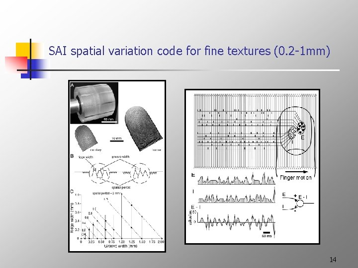 SAI spatial variation code for fine textures (0. 2 -1 mm) 14 