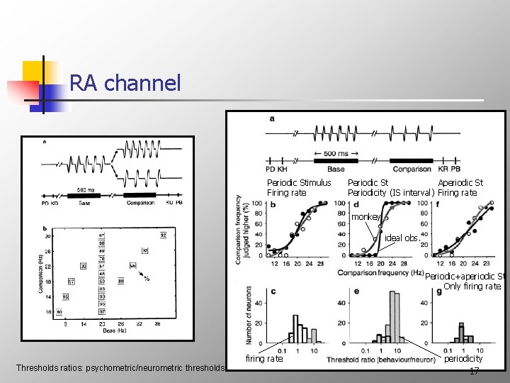 RA channel Periodic Stimulus Firing rate Periodic St Aperiodic St Periodicity (IS interval) Firing