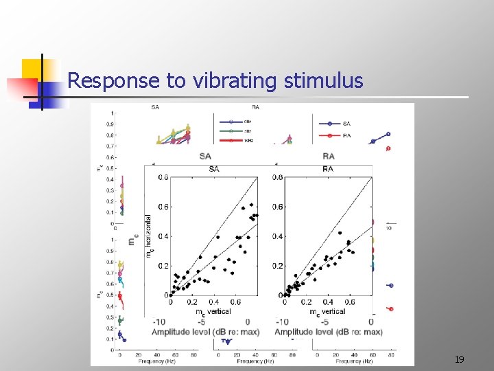 Response to vibrating stimulus 19 