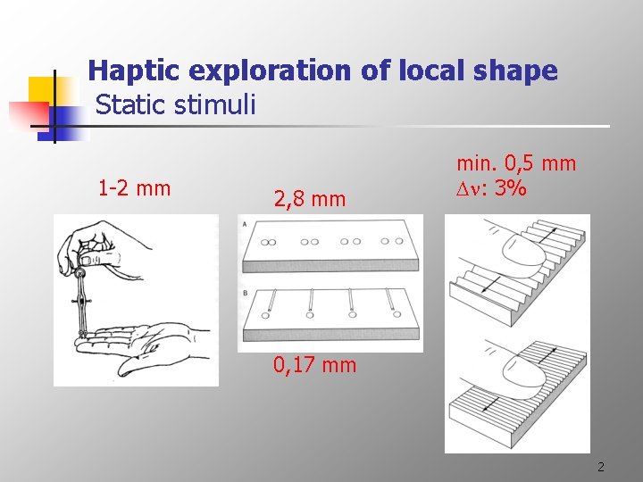 Haptic exploration of local shape Static stimuli 1 -2 mm 2, 8 mm min.