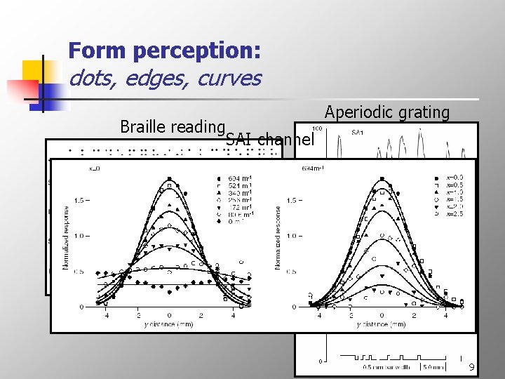 Form perception: dots, edges, curves Braille reading Aperiodic grating SAI channel 9 