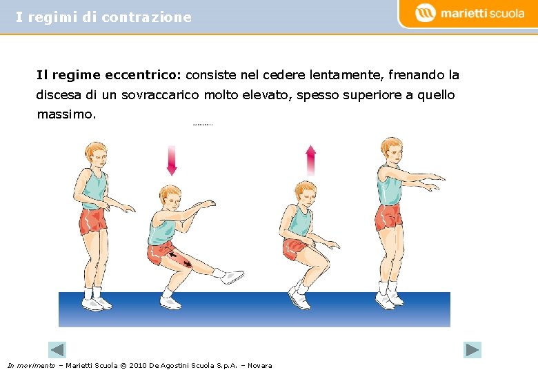 I regimi di contrazione Il regime eccentrico: consiste nel cedere lentamente, frenando la discesa