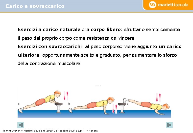 Carico e sovraccarico Esercizi a carico naturale o a corpo libero: sfruttano semplicemente il