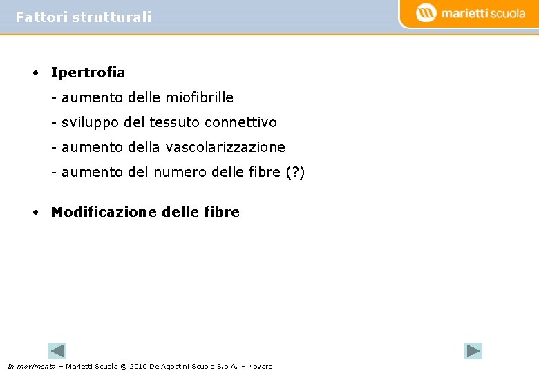 Fattori strutturali • Ipertrofia - aumento delle miofibrille - sviluppo del tessuto connettivo -