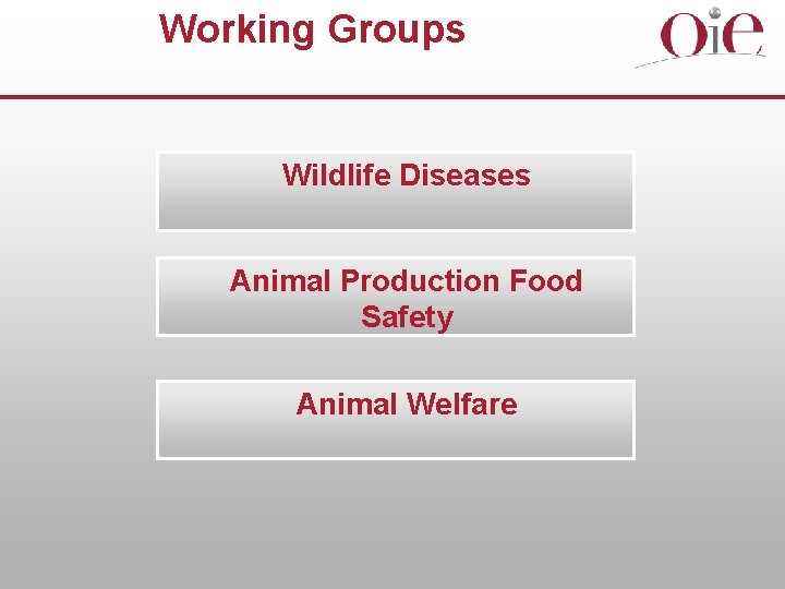Working Groups Wildlife Diseases Animal Production Food Safety Animal Welfare 