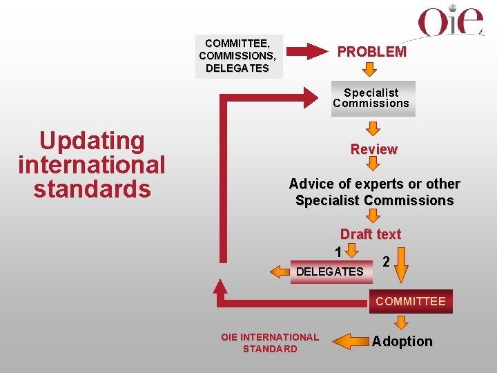 COMMITTEE, COMMISSIONS, DELEGATES PROBLEM Specialist Commissions Updating international standards Review Advice of experts or