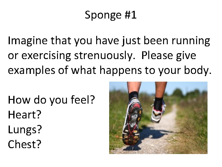 Sponge #1 Imagine that you have just been running or exercising strenuously. Please give