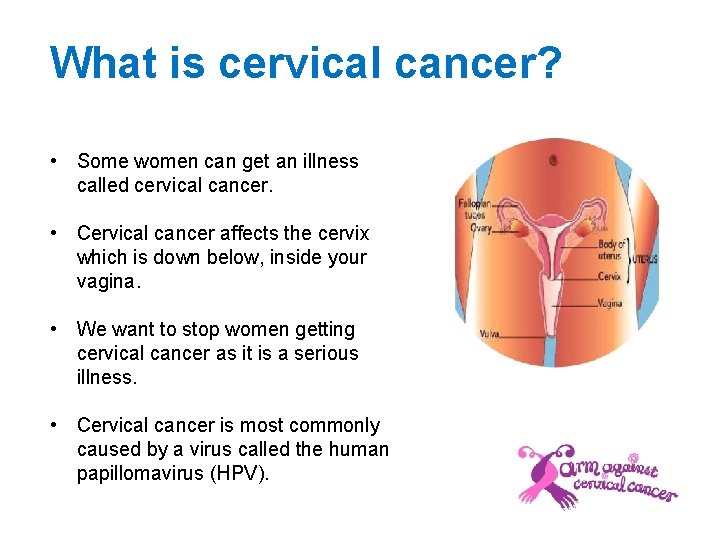 What is cervical cancer? • Some women can get an illness called cervical cancer.