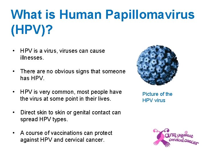 What is Human Papillomavirus (HPV)? • HPV is a virus, viruses can cause illnesses.