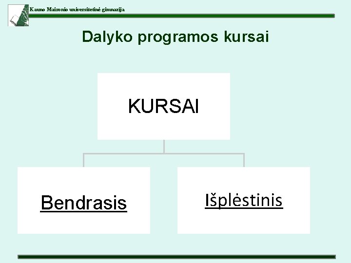 Kauno Maironio universitetinė gimnazija Dalyko programos kursai KURSAI Bendrasis Išplėstinis 