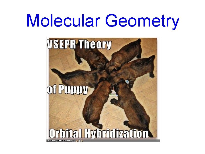 Molecular Geometry 