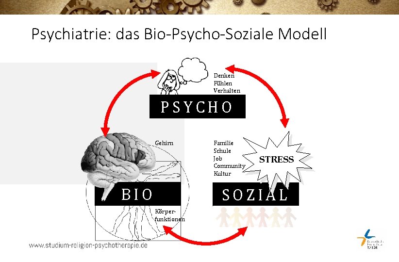 Psychiatrie: das Bio-Psycho-Soziale Modell Denken Fühlen Verhalten PSYCHO Gehirn BIO Familie Schule Job Community