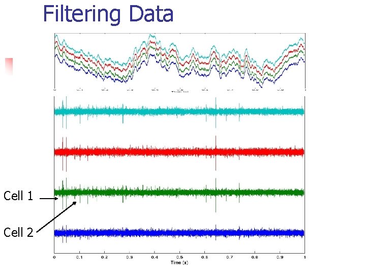 Filtering Data Cell 1 Cell 2 