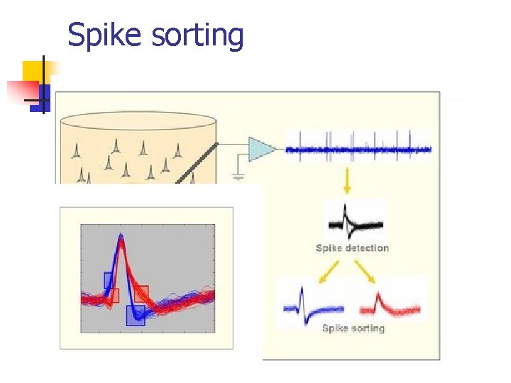 Spike sorting 