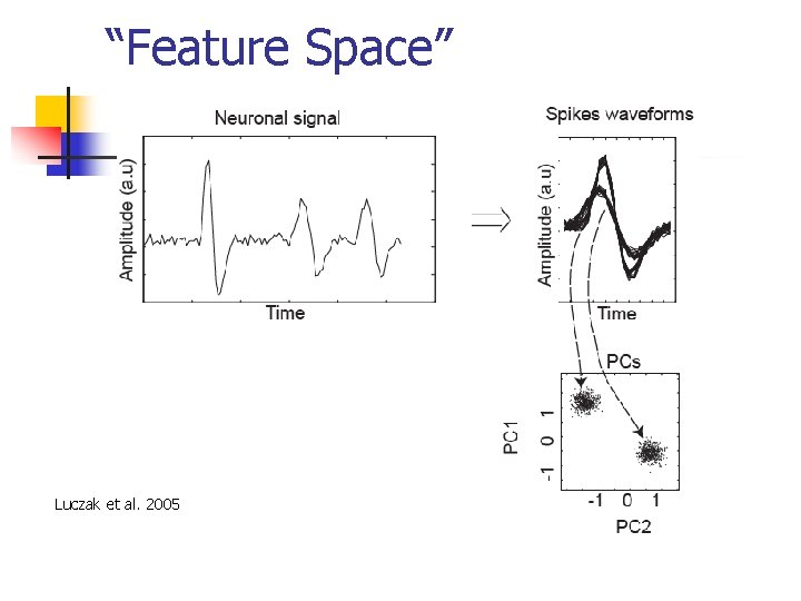 “Feature Space” Luczak et al. 2005 
