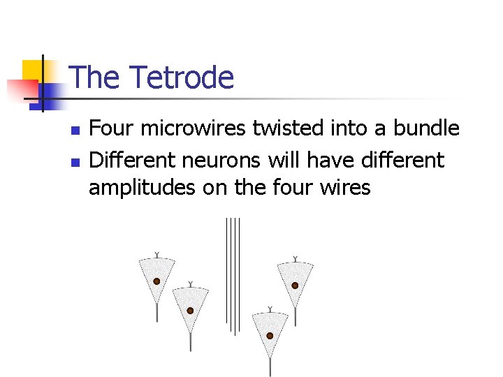 The Tetrode n n Four microwires twisted into a bundle Different neurons will have