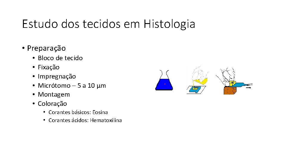 Estudo dos tecidos em Histologia • Preparação • • • Bloco de tecido Fixação