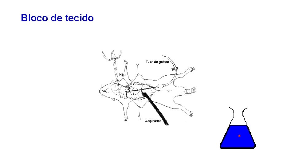 Bloco de tecido 