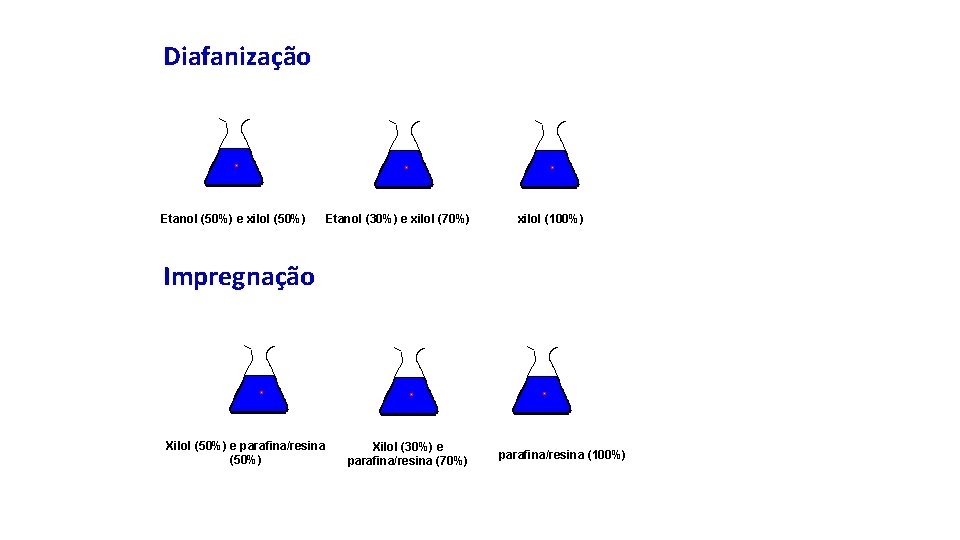 Diafanização Etanol (50%) e xilol (50%) Etanol (30%) e xilol (70%) xilol (100%) Impregnação