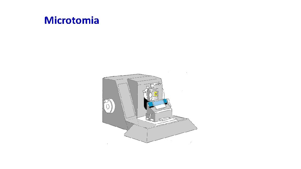 Microtomia 