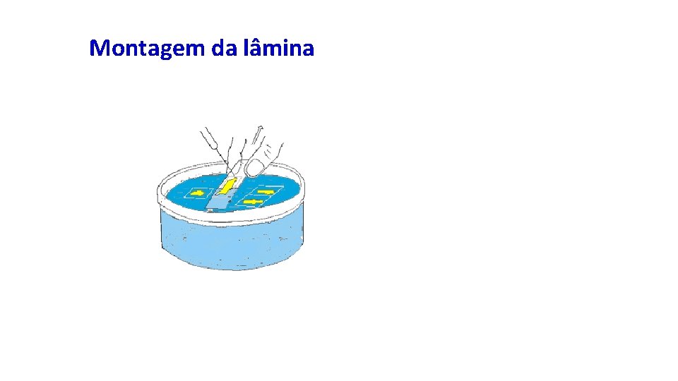 Montagem da lâmina 