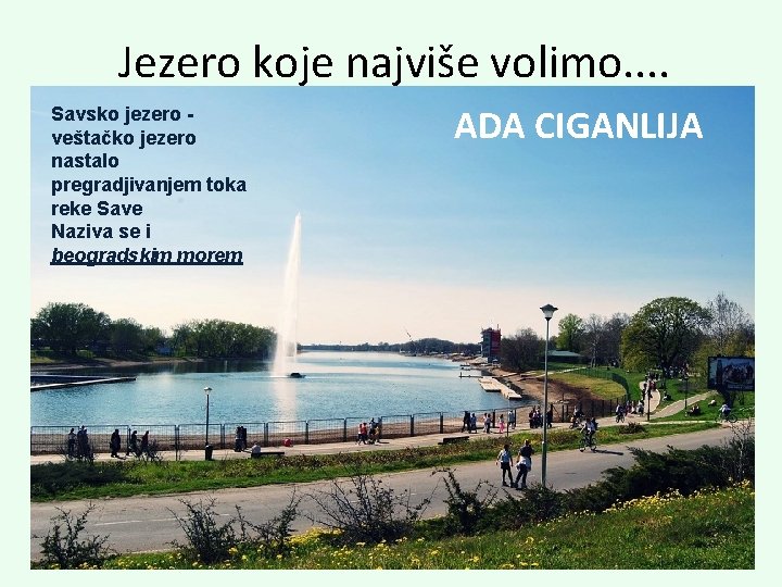 Jezero koje najviše volimo. . Savsko jezero veštačko jezero nastalo pregradjivanjem toka reke Save