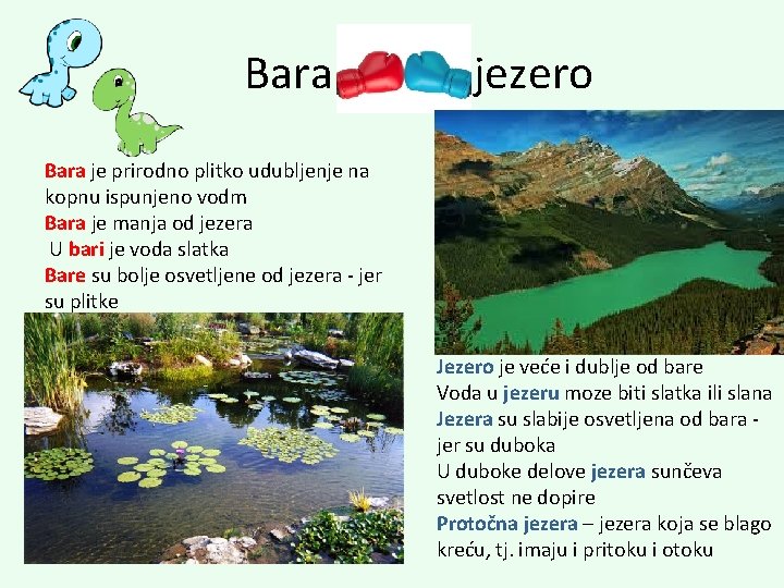  Bara jezero Bara je prirodno plitko udubljenje na kopnu ispunjeno vodm Bara je