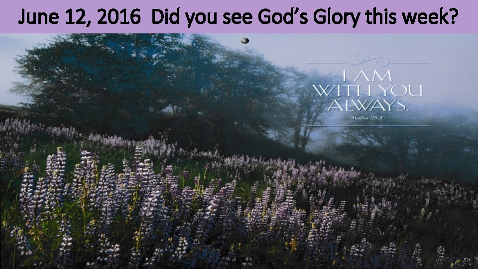 June 12, 2016 Did you see God’s Glory this week? 