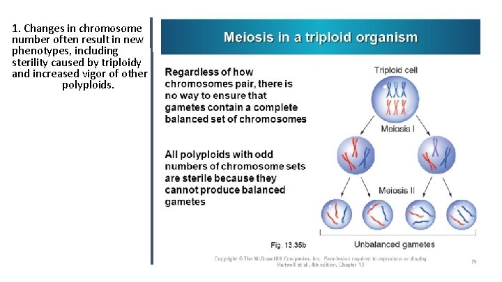 1. Changes in chromosome number often result in new phenotypes, including sterility caused by