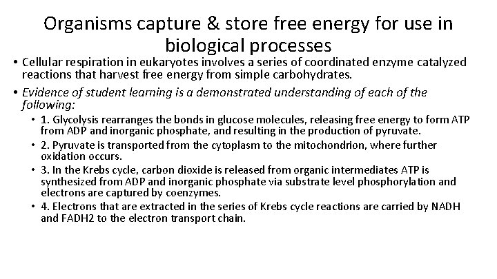 Organisms capture & store free energy for use in biological processes • Cellular respiration