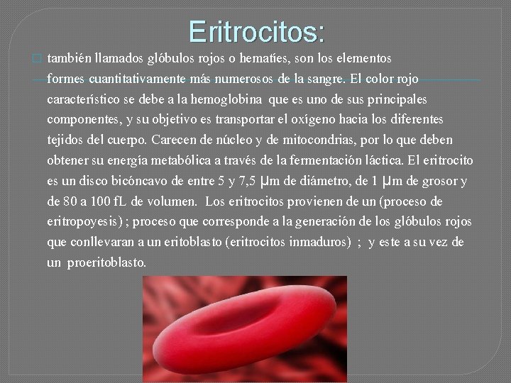 Eritrocitos: � también llamados glóbulos rojos o hematíes, son los elementos formes cuantitativamente más