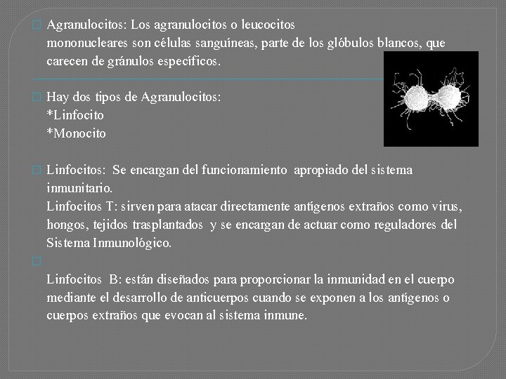 � Agranulocitos: Los agranulocitos o leucocitos mononucleares son células sanguíneas, parte de los glóbulos