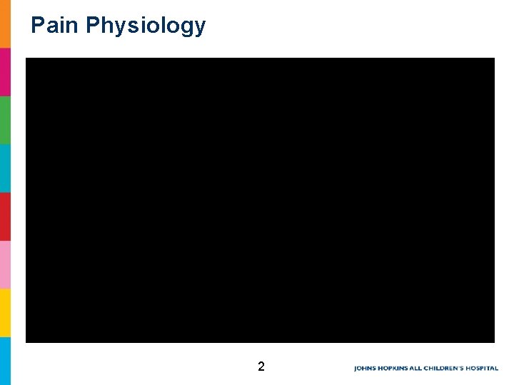 Pain Physiology 2 Pain Physiology 2
