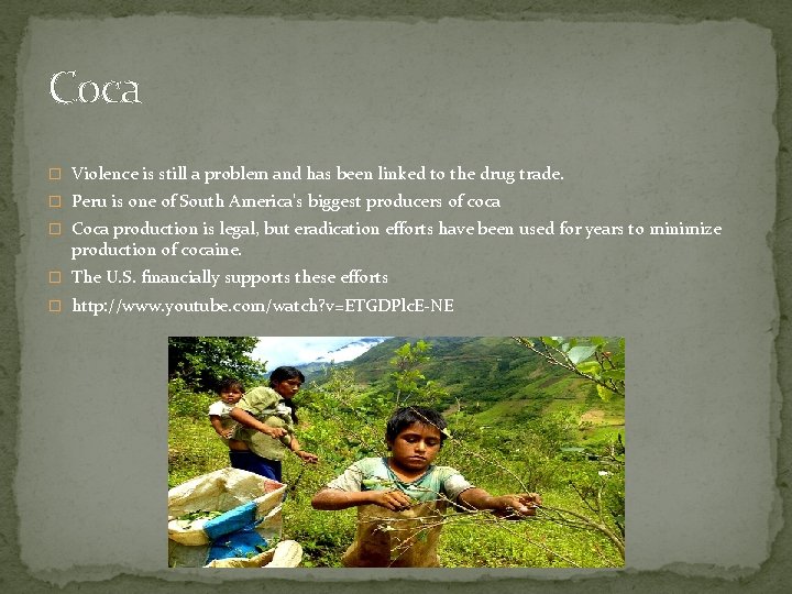 Coca � Violence is still a problem and has been linked to the drug