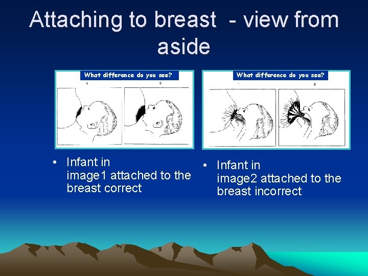 Attaching to breast - view from aside What difference do you see? • Infant